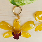 Aretes Dendrobium Tropical