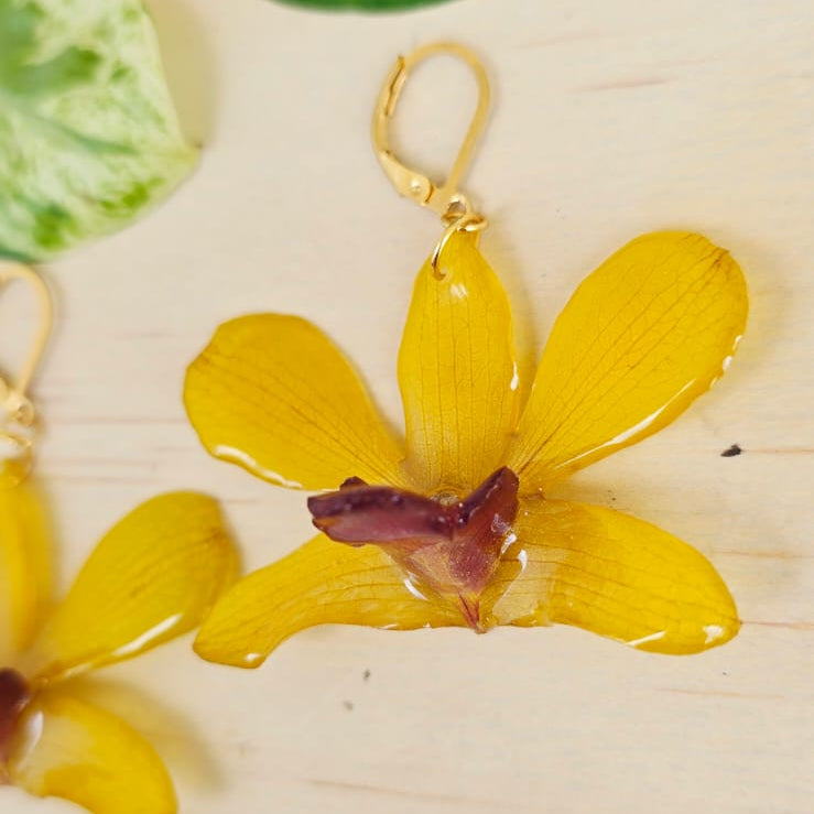 Aretes Dendrobium Tropical