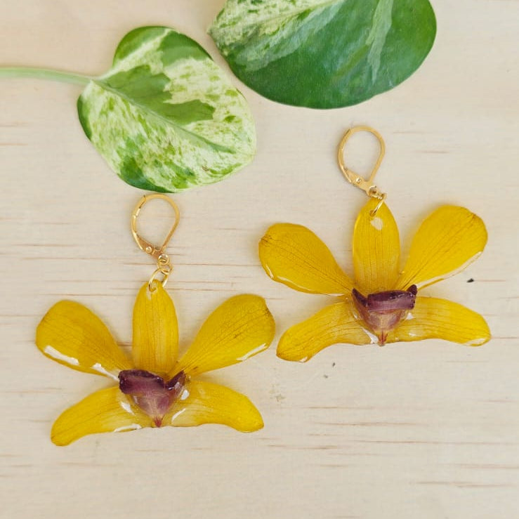 Aretes Dendrobium Tropical