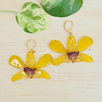 Aretes Dendrobium Tropical