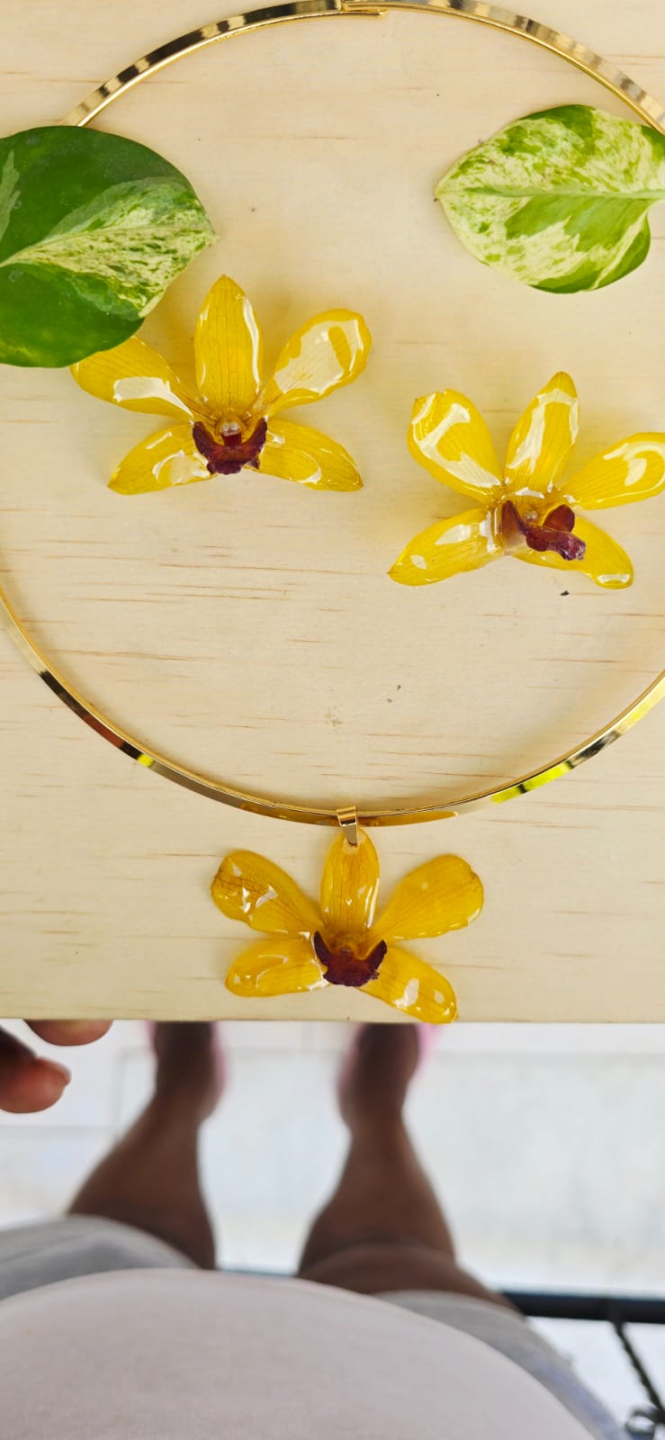 Conjunto Orquídea Dendrobium Tropical