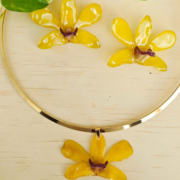 Conjunto Orquídea Dendrobium Tropical