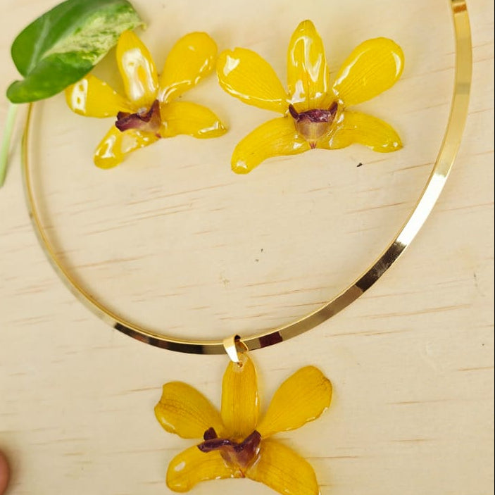 Conjunto Orquídea Dendrobium Tropical