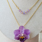 Conjunto Phalaenopsis mini con mi