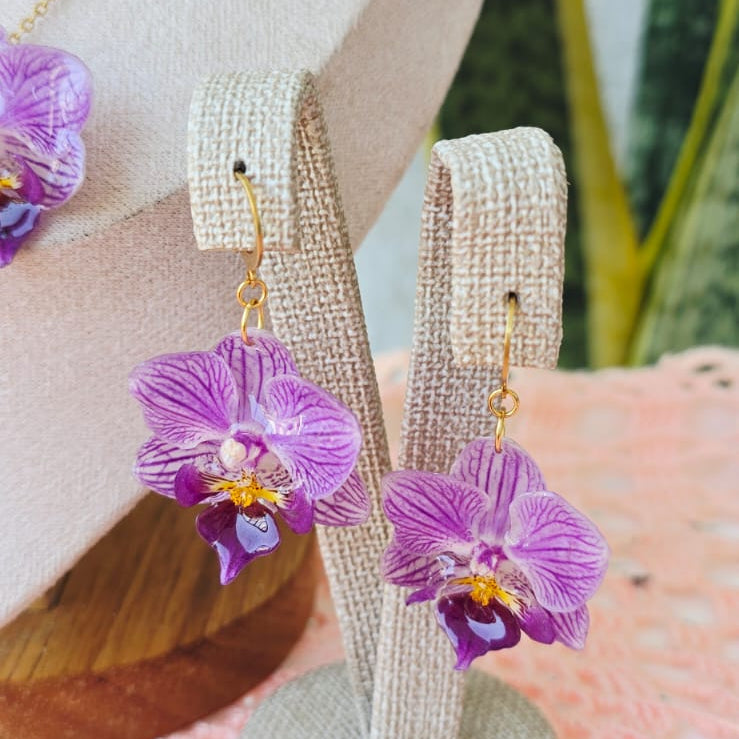 Conjunto Phalaenopsis mini con mi