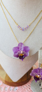 Conjunto Phalaenopsis mini con mi