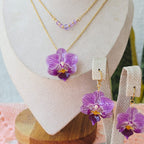 Conjunto Phalaenopsis mini con mi