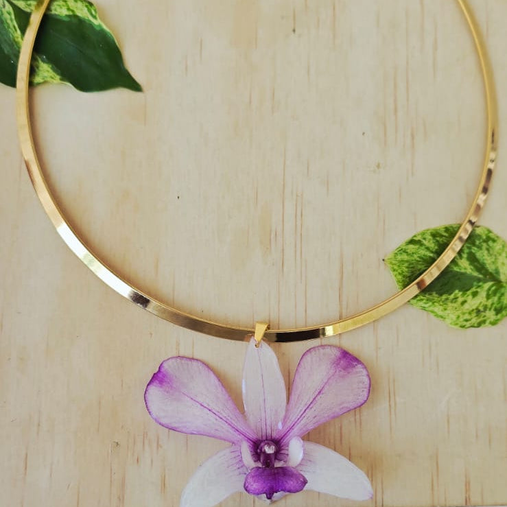 Orquídea Dendrobiuem con aro