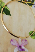 Orquídea Dendrobiuem con aro