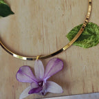 Orquídea Dendrobiuem con aro