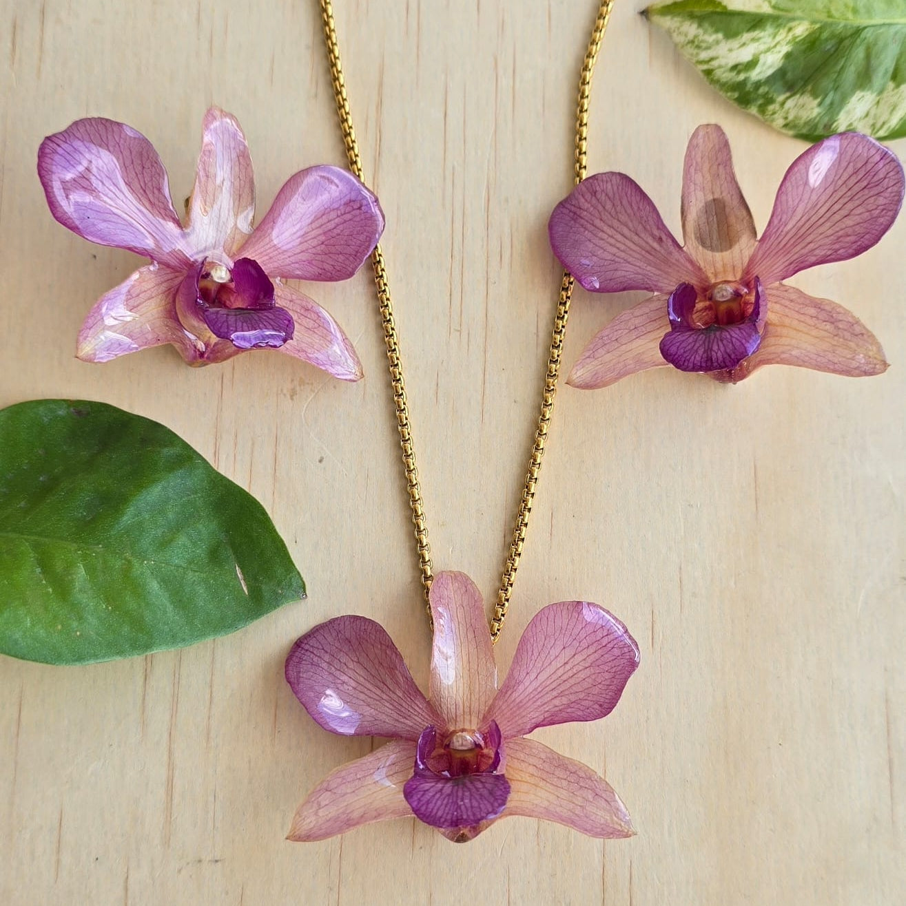 Conjunto Dendrobium Amarillo