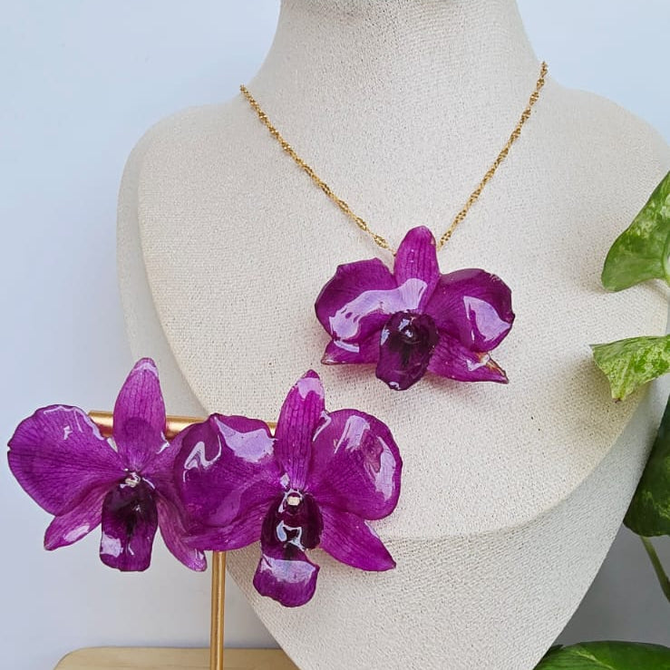 Conjunto Dendrobium morado vibrante
