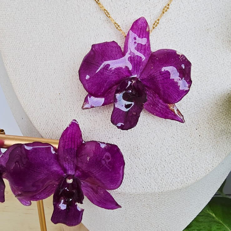 Conjunto Dendrobium morado vibrante