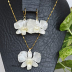 Conjunto Dendrobium blanco