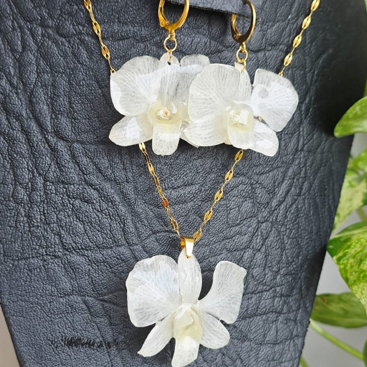 Conjunto Dendrobium blanco