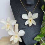 Conjunto Dendrobium