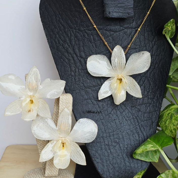Conjunto Dendrobium