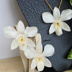 Conjunto Dendrobium