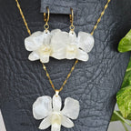 Conjunto Dendrobium blanco