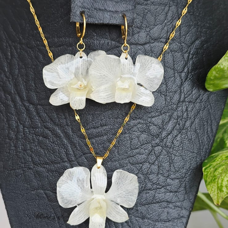 Conjunto Dendrobium blanco