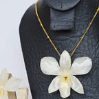 Conjunto Dendrobium