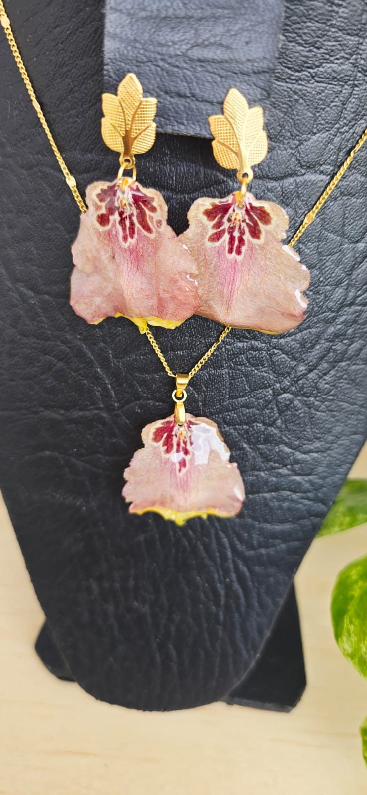 Conjunto labelo de orquídea Oncidium