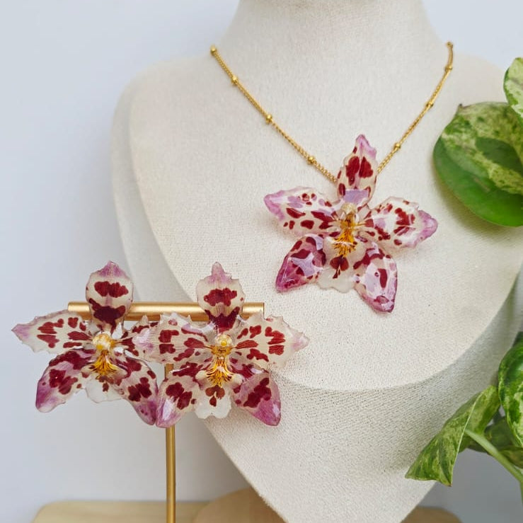 Conjunto orquídea Odontoglossum