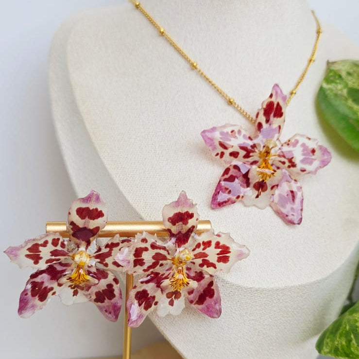 Conjunto orquídea Odontoglossum