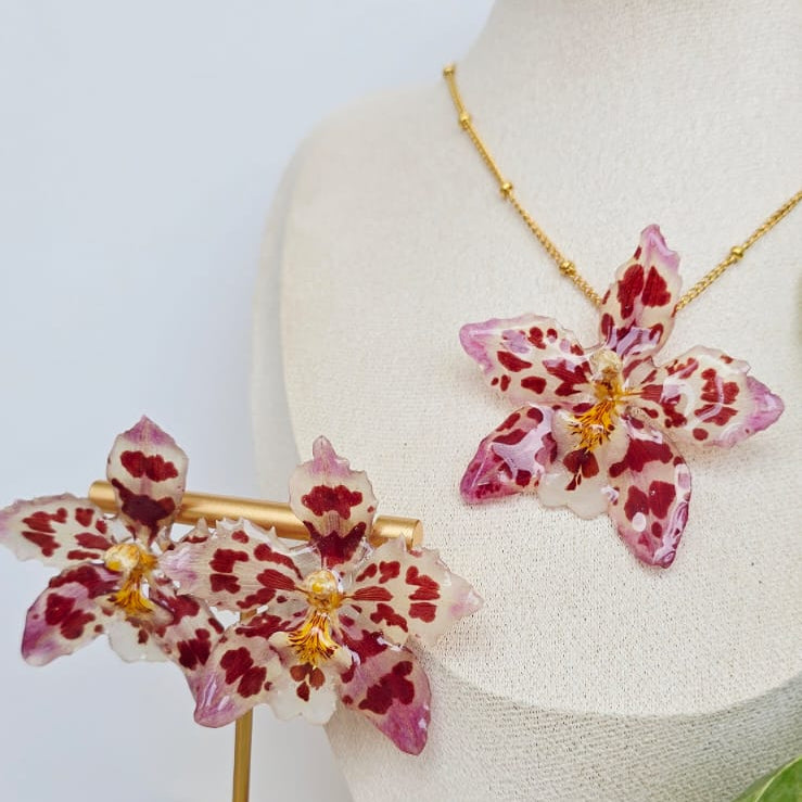 Conjunto orquídea Odontoglossum