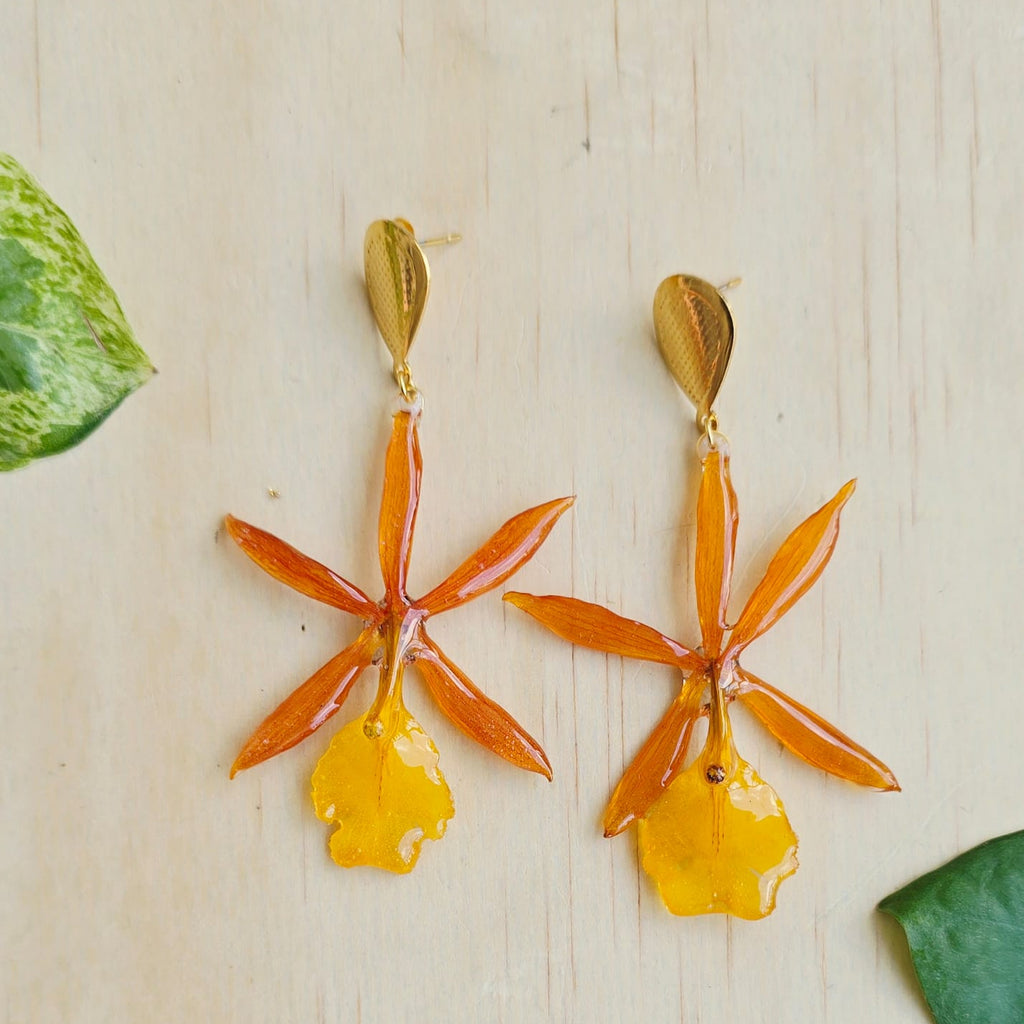 Aretes orquídea Epicattleya