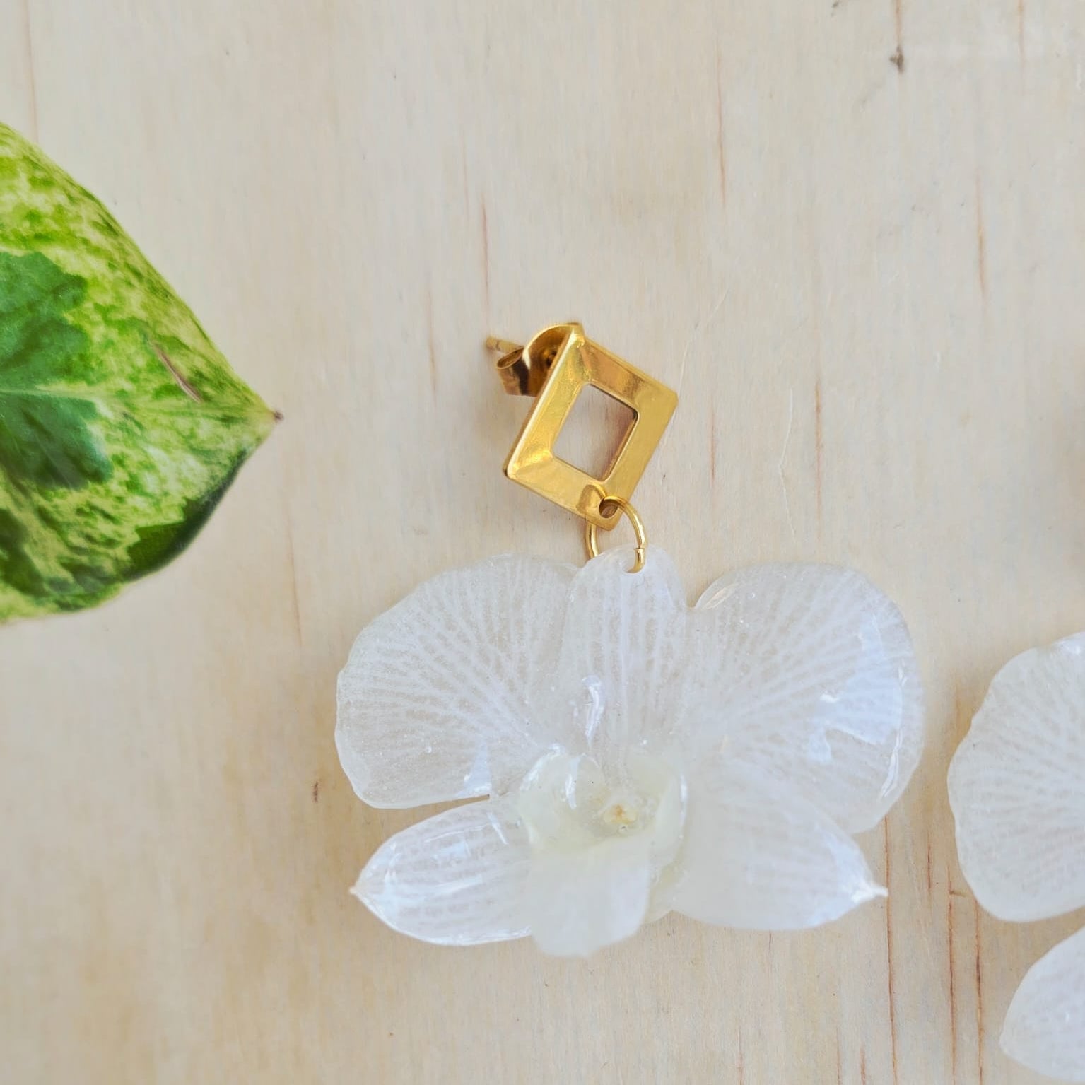 Aretes de orquídea Dendrobium
