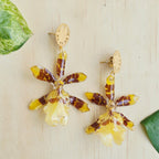 Areyes Orquídea Colamanara