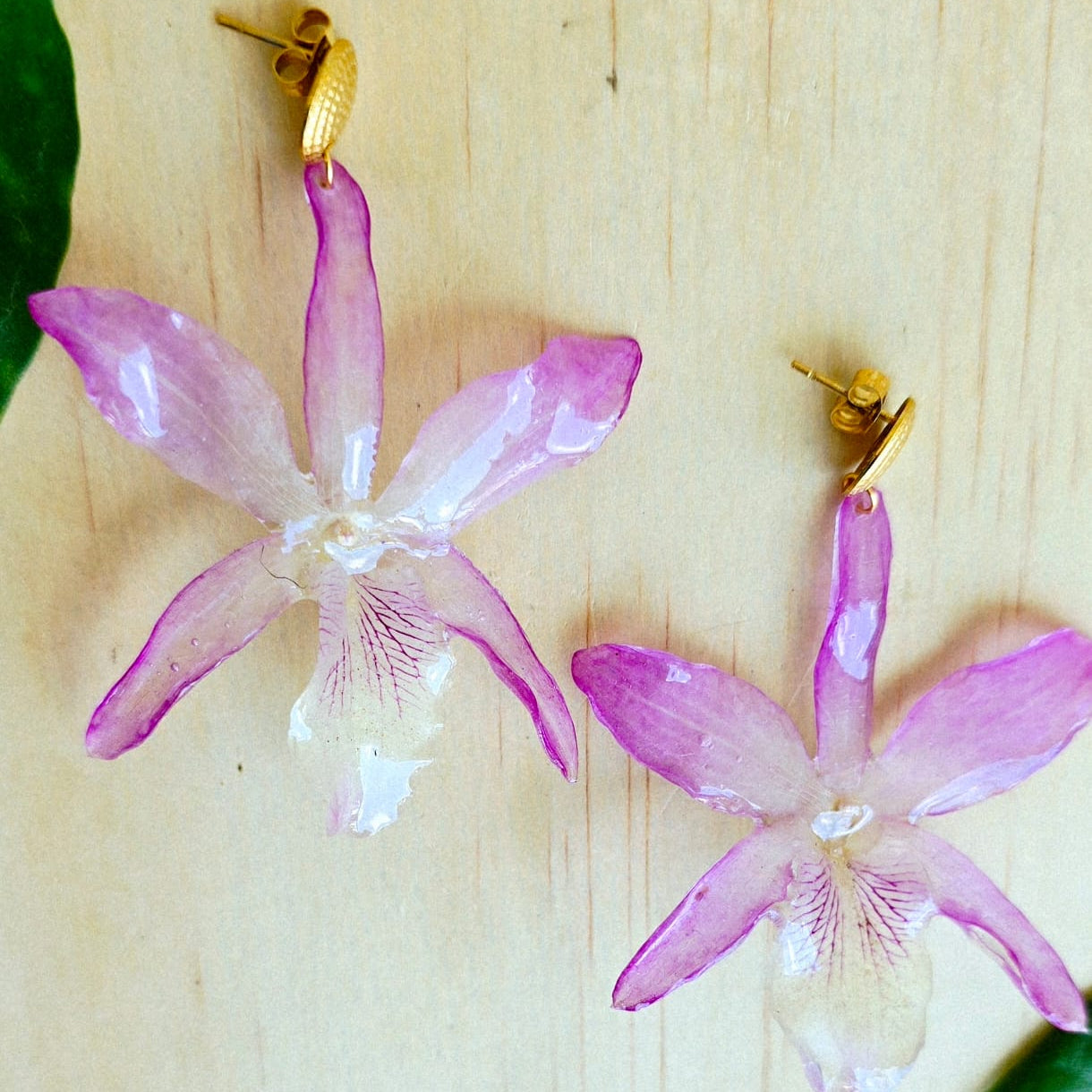 Aretes orquídea dendrobium