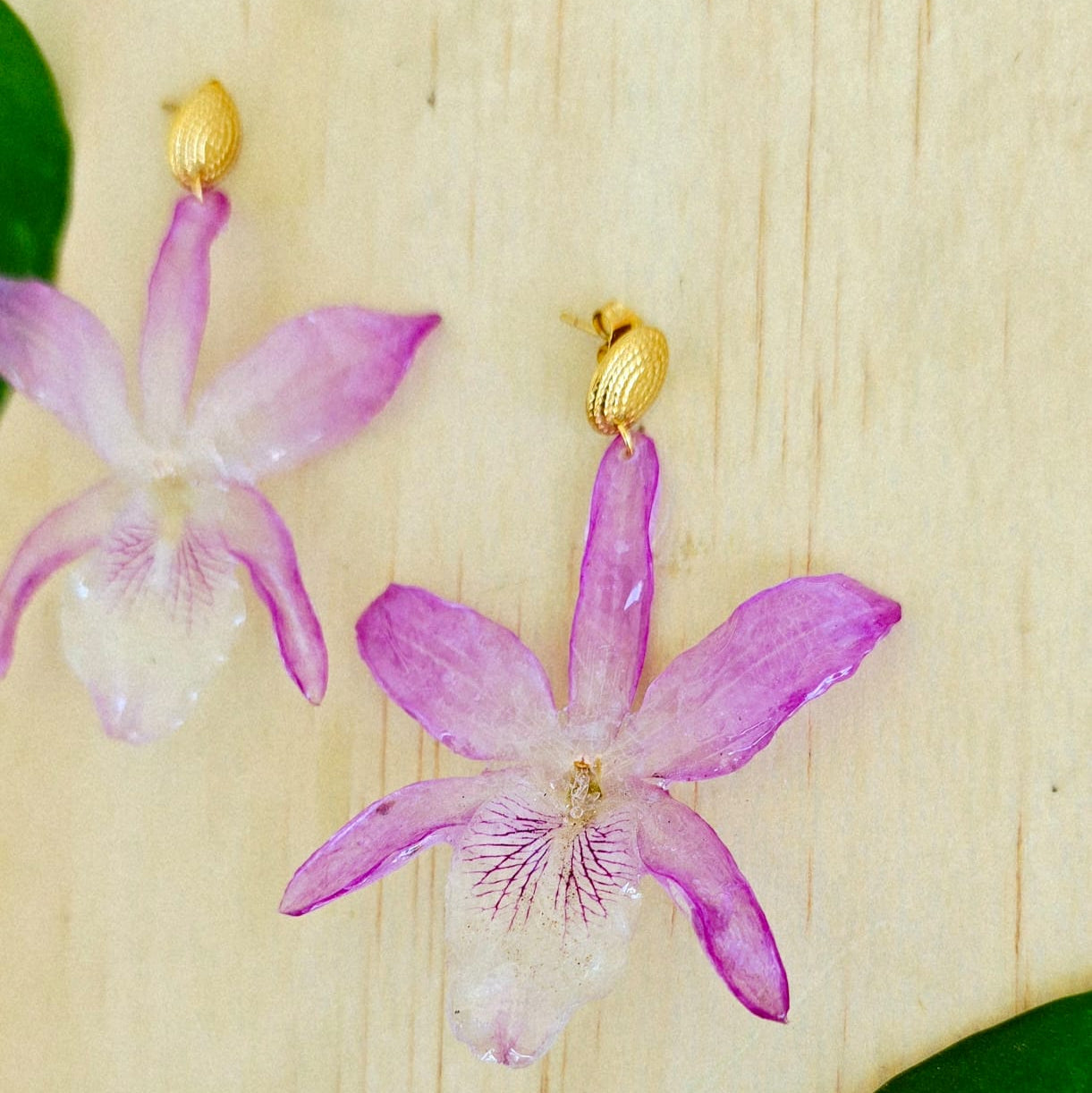 Aretes orquídea dendrobium