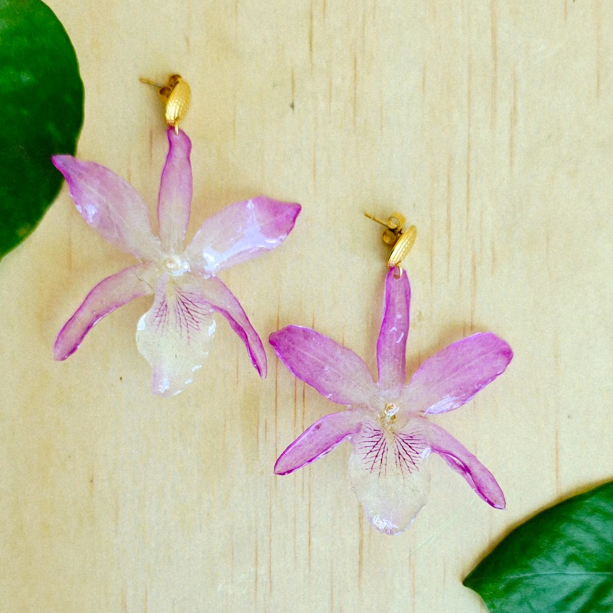 Aretes orquídea dendrobium
