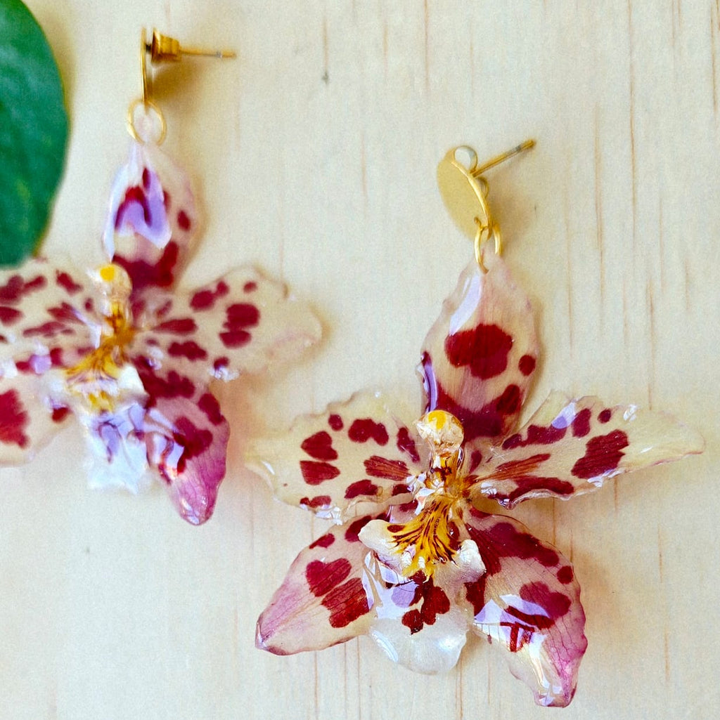 Aretes orquídea Odontoglossum