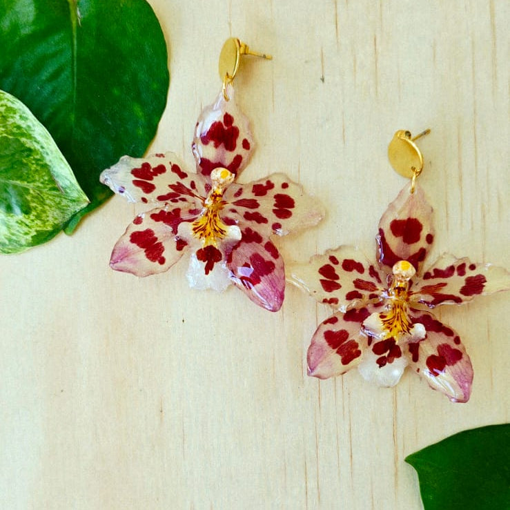 Aretes orquídea Odontoglossum