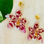 Aretes orquídea Odontoglossum