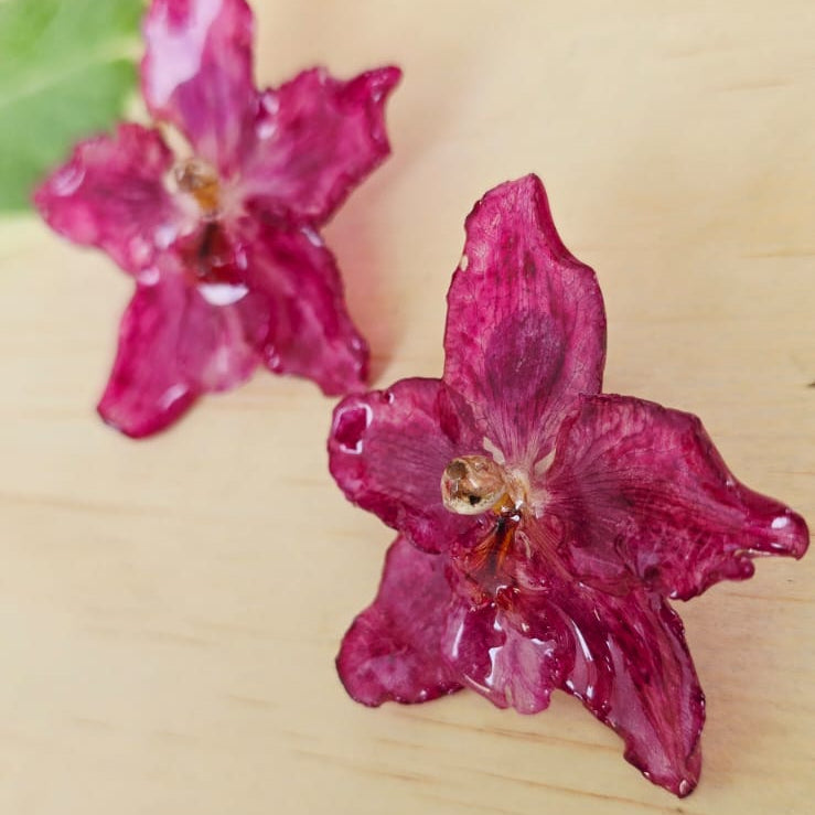 Topos orquídea Odontoglossum