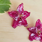 Topos orquídea Odontoglossum