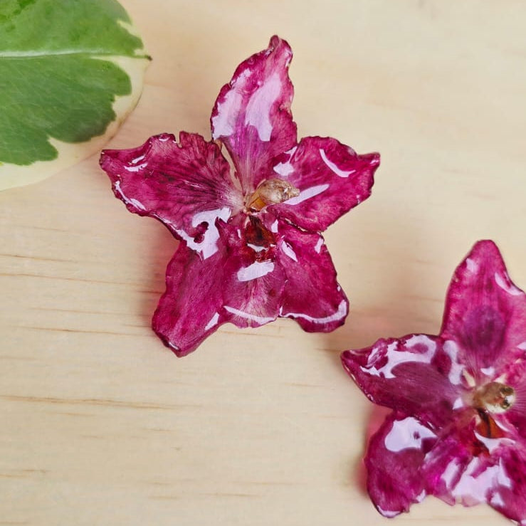 Topos orquídea Odontoglossum