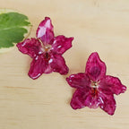 Topos orquídea Odontoglossum