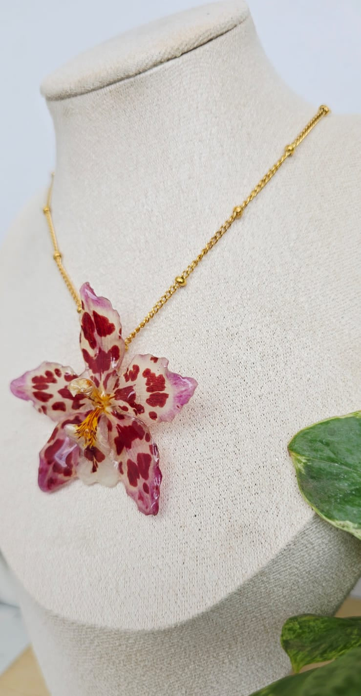 Collar orquídea Odontoglossum