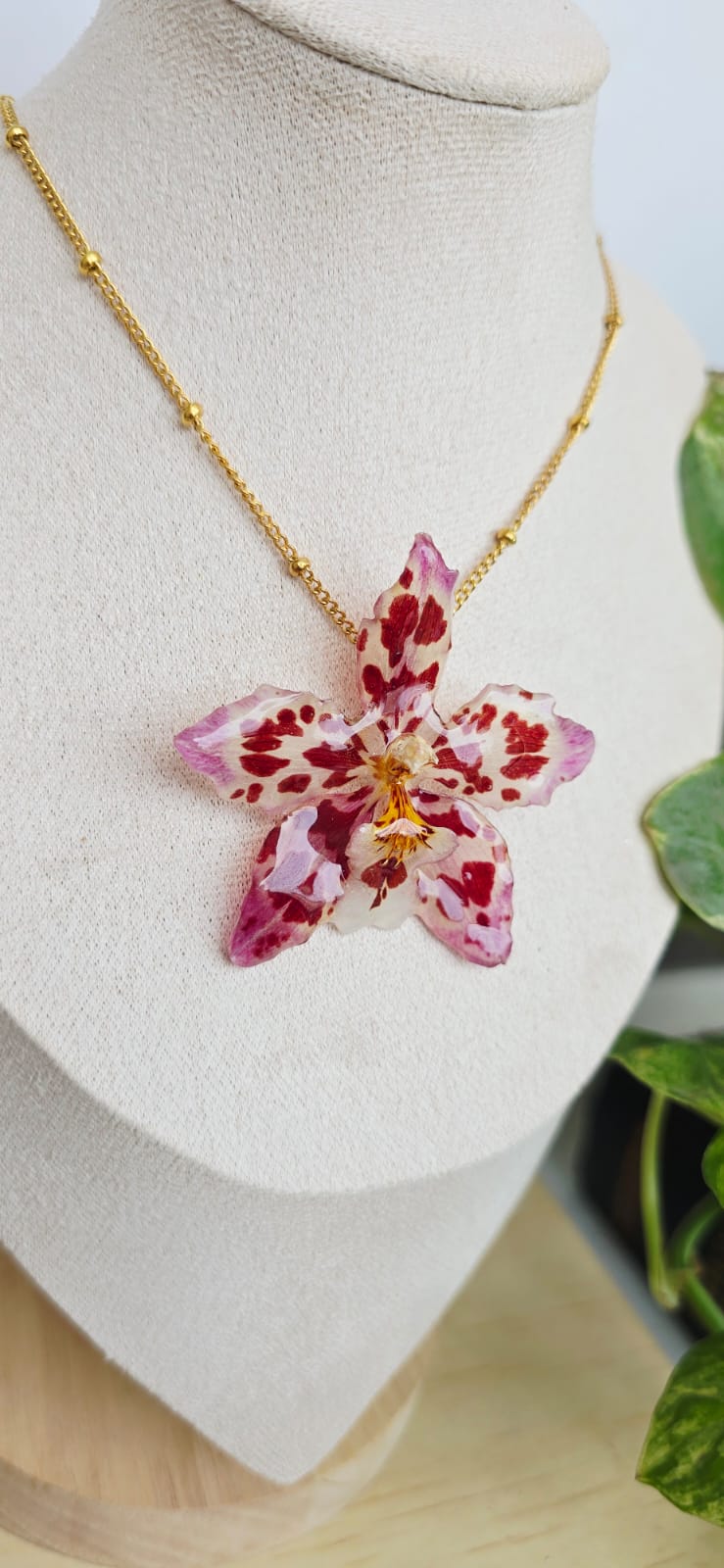 Collar orquídea Odontoglossum