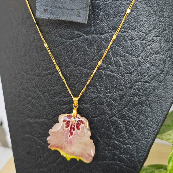 Collar labelo de orquídea Oncidium