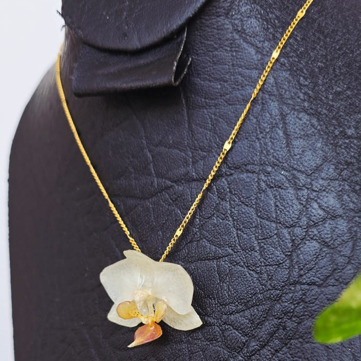 Collar orquídea Phalaenopsis mini