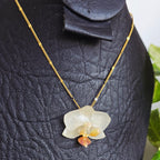 Collar orquídea Phalaenopsis mini