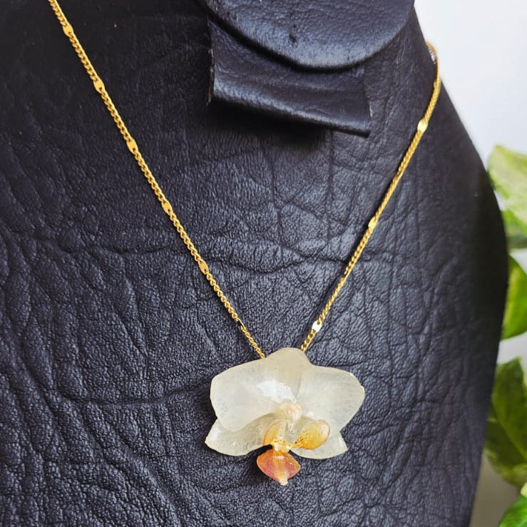 Collar orquídea Phalaenopsis mini