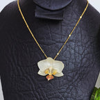 Collar orquídea Phalaenopsis mini