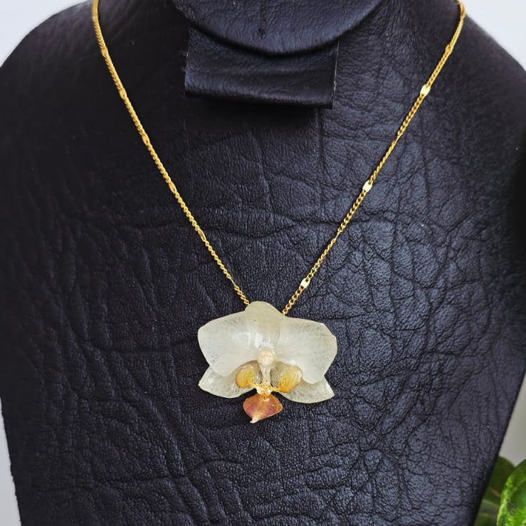Collar orquídea Phalaenopsis mini